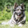 WG Photographies-9
