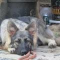 img_6725-custom