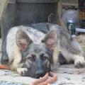 img_6726-custom