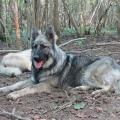 img_9226-custom