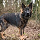 DSC9159