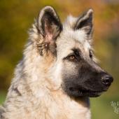 Guillaume-Wentzel-Photographe-2021-17