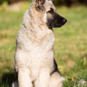 Guillaume-Wentzel-Photographe-2021-6