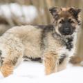 16 Mars