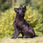 X73A9702