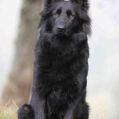 A89A9144