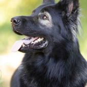 A89A5714