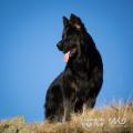 WG Photographies 2016-68