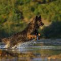 thumbnail_yasna-riviere-1