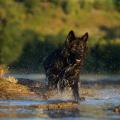 thumbnail_yasna-riviere-2