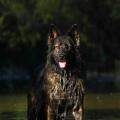 thumbnail_yasna-riviere-3