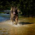 thumbnail_yasna-riviere-4