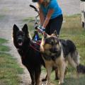 yasna-cani-trotti-1
