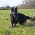 yasna-debout-2-560x372