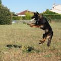 yasna-frisbee-6