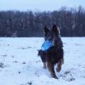 yasna-frisbee-neige