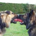 yasna-kwando-jeux-2