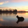 yasna-lac