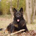 yasna-portrait-1