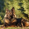 yasna-portrait-2(1)