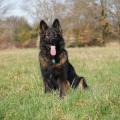 yasna-pose-1-560x372