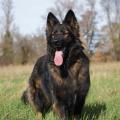 yasna-pose-4