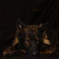 yasna-studio-3