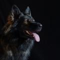 yasna-studio-soleil-2