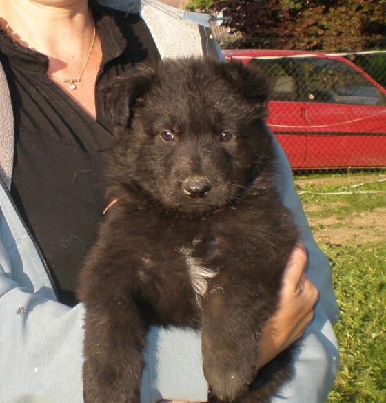 1 mois et demi