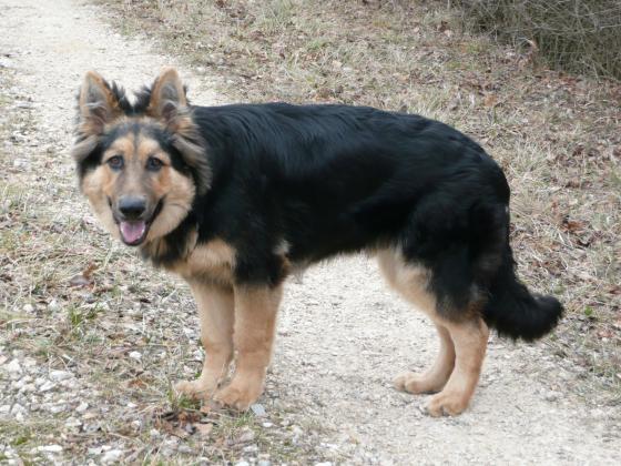 Fricko janvier 2011 004