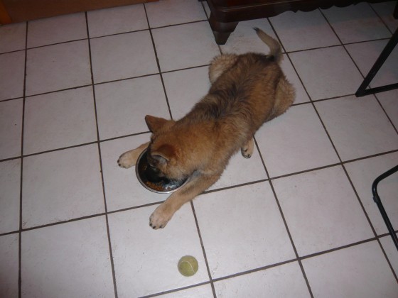 2012_10_06_Roxane_02
