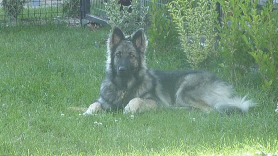Jesse - 09.2014 (Small)