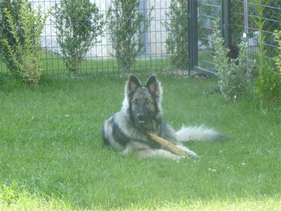 Jesse2 - 09.2014 (Small)