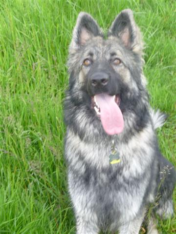 Jesse3 - mai 2014 (Small)
