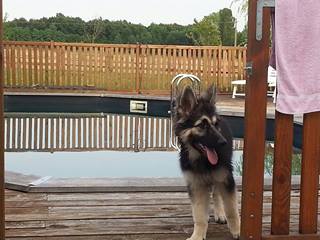 irko a la piscine 2