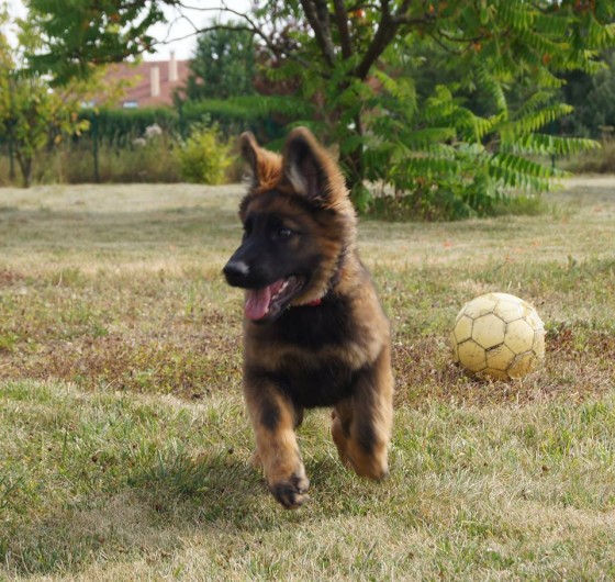 Chelsea