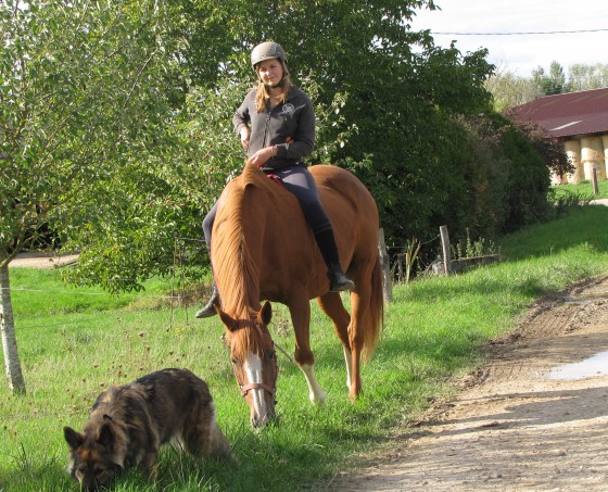 Malou féline sept 2015 009