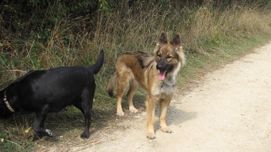 ballade Goviller Laura Malou ioleen 010