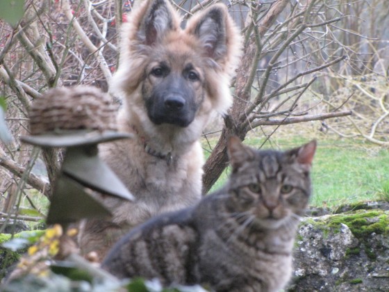 ioleen 4 mois et demi una baloo 020