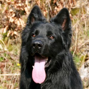 Byron-300x300.jpg