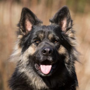 Jwan-300x300.jpg