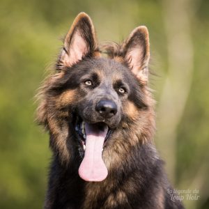 nuwa-300x300.jpg