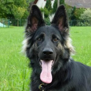 Tara-300x300-1.jpg