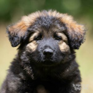 A89A4166-300x300.jpg